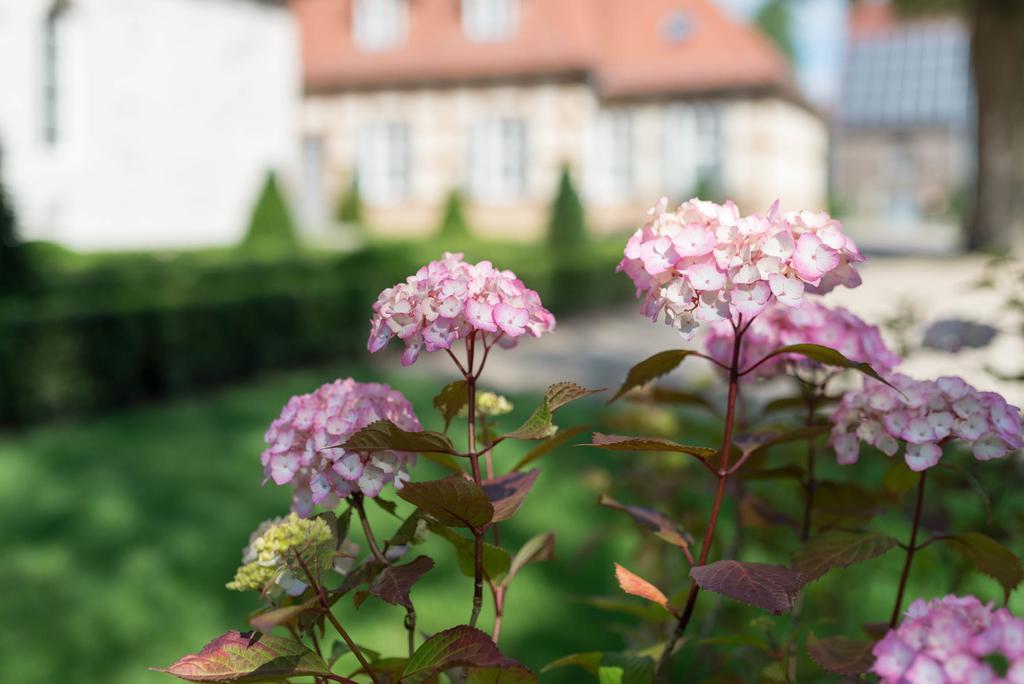 Schloss Beuchow Lübbenau Dış mekan fotoğraf